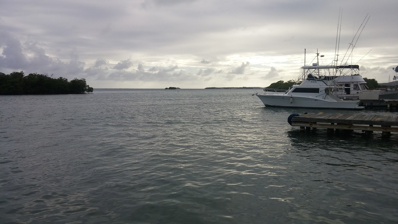 découvrez tout ce qu'il faut savoir sur la vie d'expat : conseils pratiques, astuces pour s'intégrer dans un nouveau pays, et témoignages inspirants d'expatriés. préparez votre aventure internationale avec confiance et sérénité.